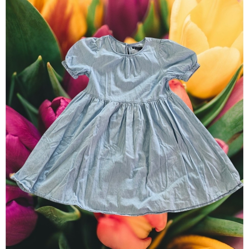 Social Standard by Sanctuary Puff Sleeve dress Blue Size XL (14-16)